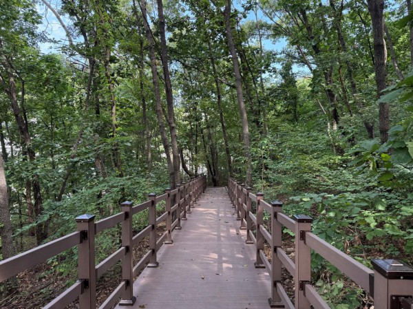 황산숲(풍산동 537번지)에 조성된 데크로드 모습