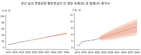 [그림1] 연간 습성 연령관련 황반변성의 유병(좌) 및 발병하는 환자수(우). 2013년부터 2022년까지는 건강보험공단 청구자료를 분석해 실제 환자수를 반영했으며, 이후는 시계열 분석으로 예측한 수치다. 