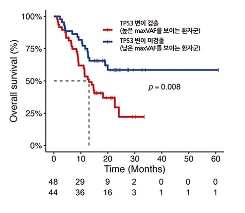 높은 maxVAF를 보이는 환자군에서 13개월 이후 급격히 생존율이 낮아졌다.